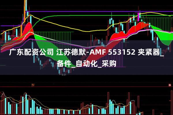 广东配资公司 江苏德默-AMF 553152 夹紧器_备件_自动化_采购