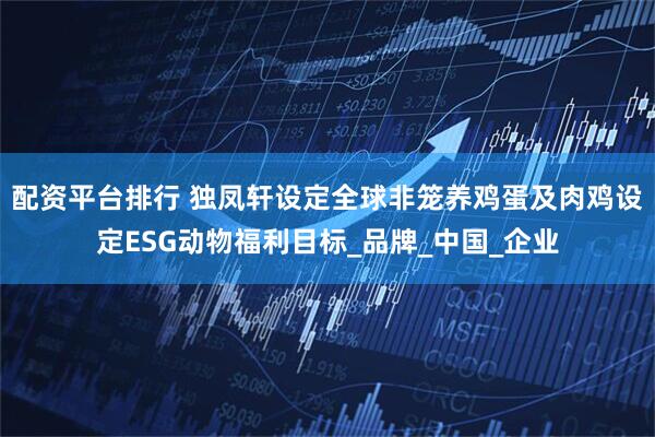 配资平台排行 独凤轩设定全球非笼养鸡蛋及肉鸡设定ESG动物福利目标_品牌_中国_企业