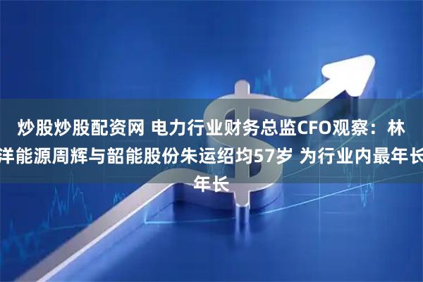 炒股炒股配资网 电力行业财务总监CFO观察：林洋能源周辉与韶能股份朱运绍均57岁 为行业内最年长