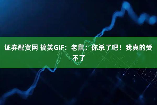 证券配资网 搞笑GIF：老鼠：你杀了吧！我真的受不了